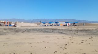 GC-Playa de Maspalomas 2026-058.jpg